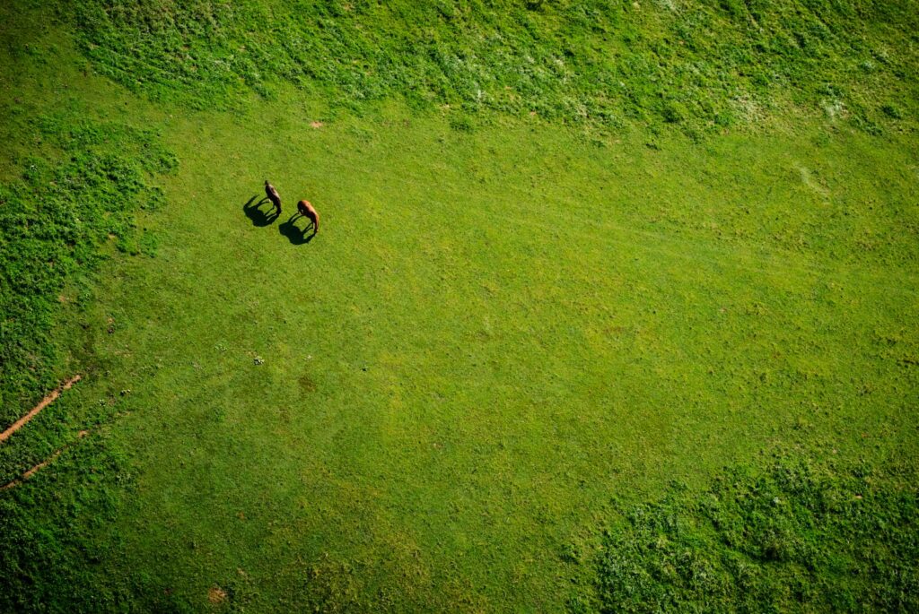 Aerial view of the parcel and surrounding grassland
