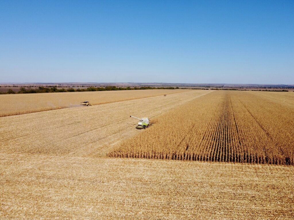 Harvest traffic on the estate road