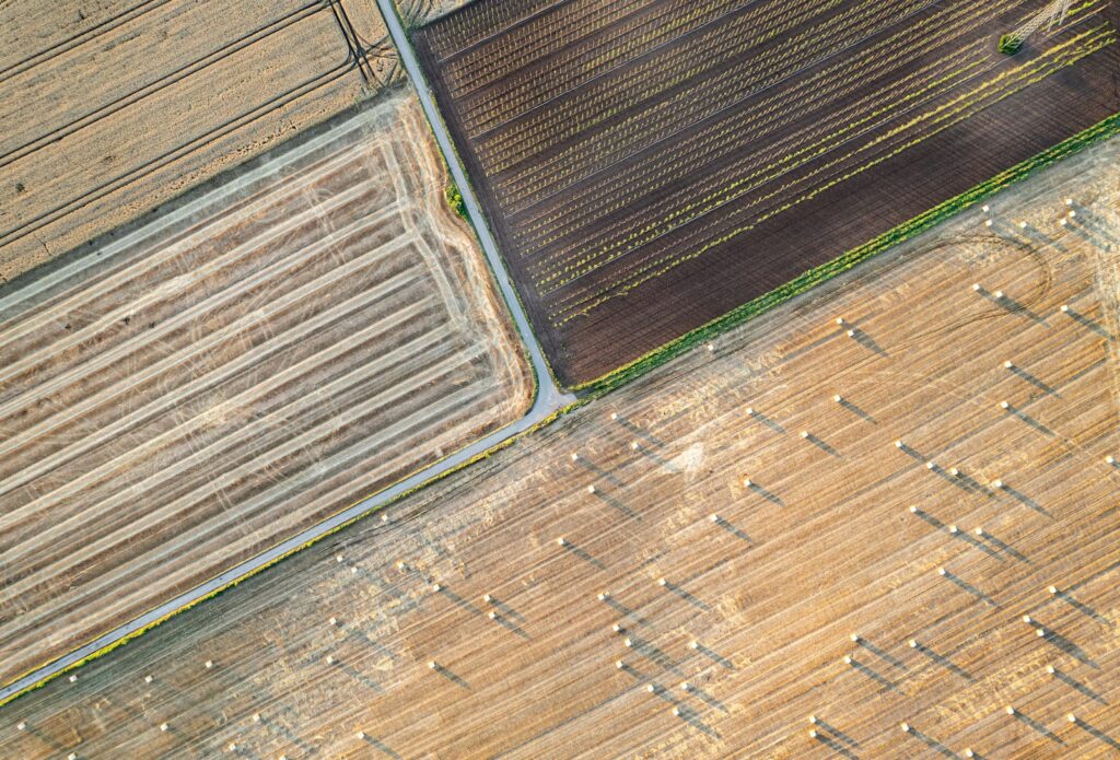Bird's eye view of the holding and its boundaries