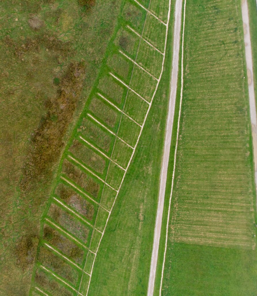 Access road running through the parcel