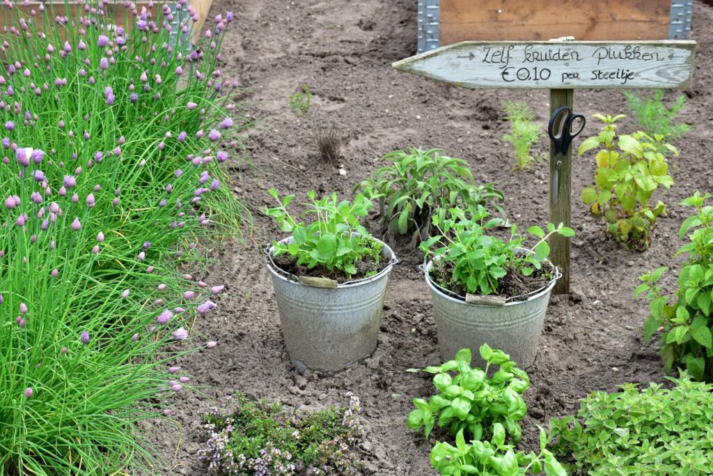Boundary planting alongside a site marker