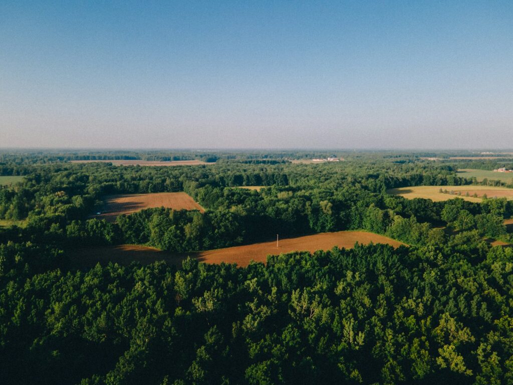 Gently sloping land with mature trees