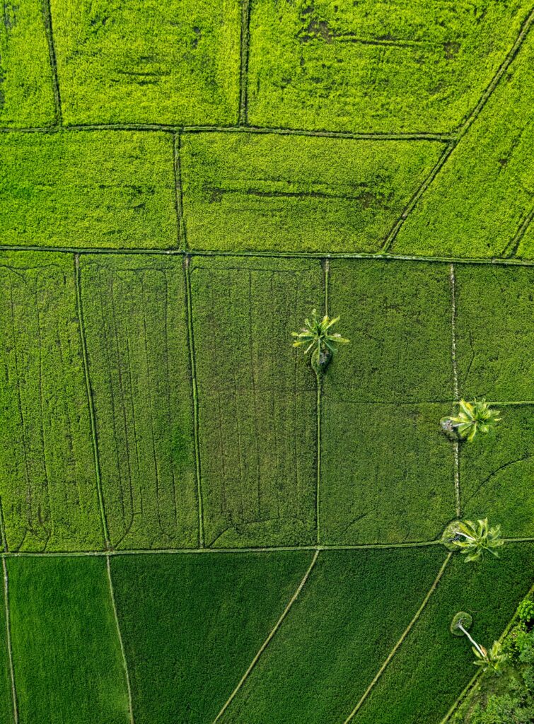 Aerial view of a lush green field, commercial land for sale Negeri Sembilan Malaysia