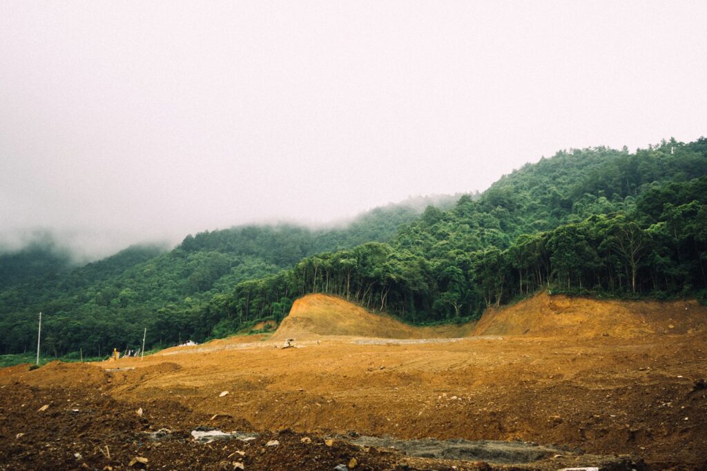 Tree line across cleared ground on a misty morning